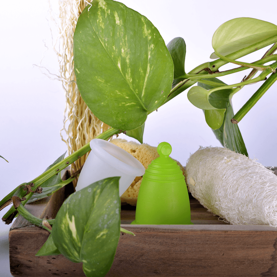 エコテスト受賞の月経カップ メルーナ