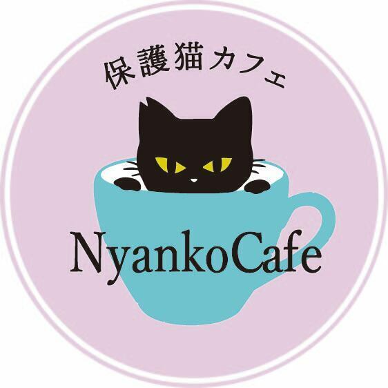 大阪の保護猫カフェ「にゃんこカフェ」が挑戦！ 光の届かない不衛生な