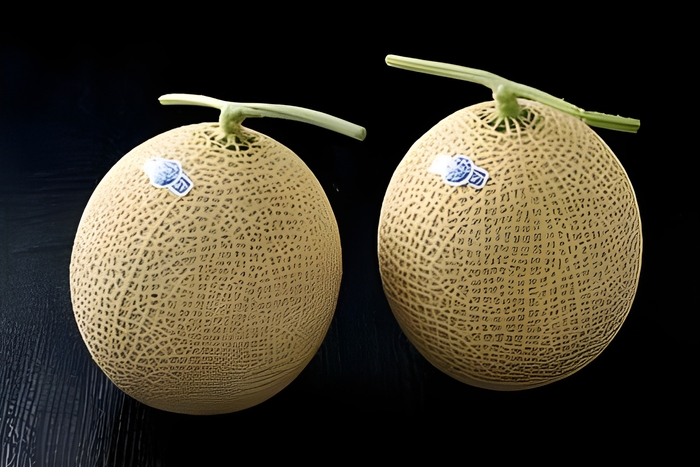 【頂】静岡県産マスクメロン「クラウンメロン」2玉化粧箱入 URL:https://www.ja-town.com/shop/g/g4301-5204002CP/