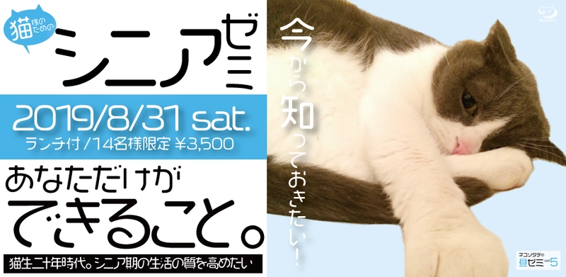 猫様のシニアケアを学ぶランチセミナー開催