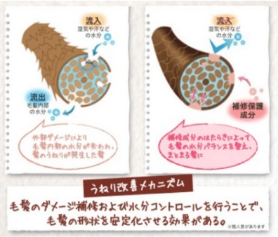 うねりをケアする水分コントロール成分の導入