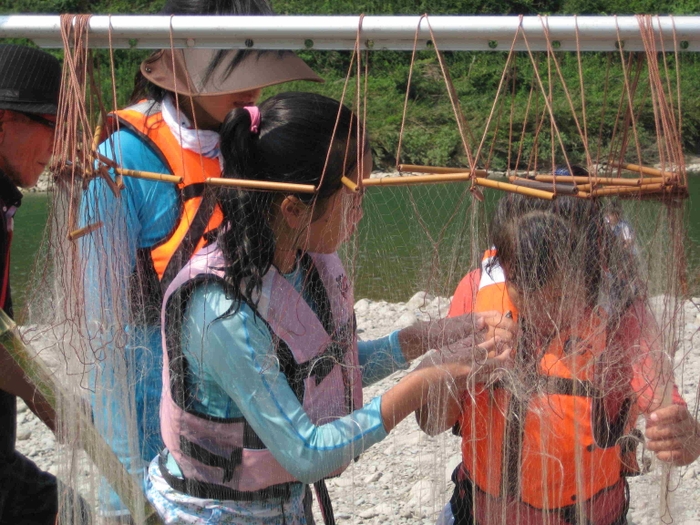 追い込み漁の網にかかった魚をとる様子