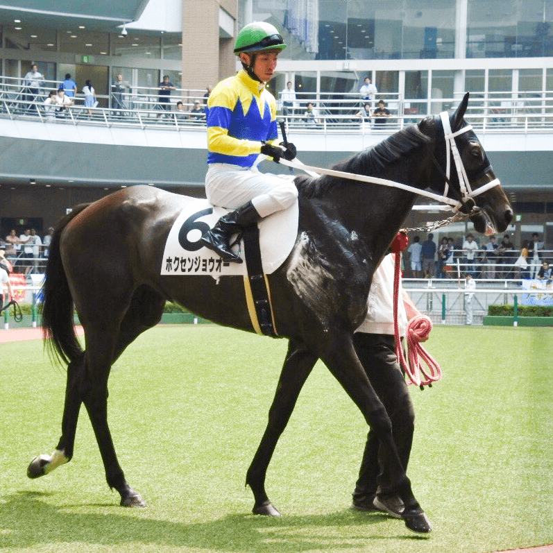 競馬ファンのお気に入りの馬や想い出の馬が あのレースで走った時の