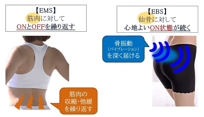 EMSとEBSの違い