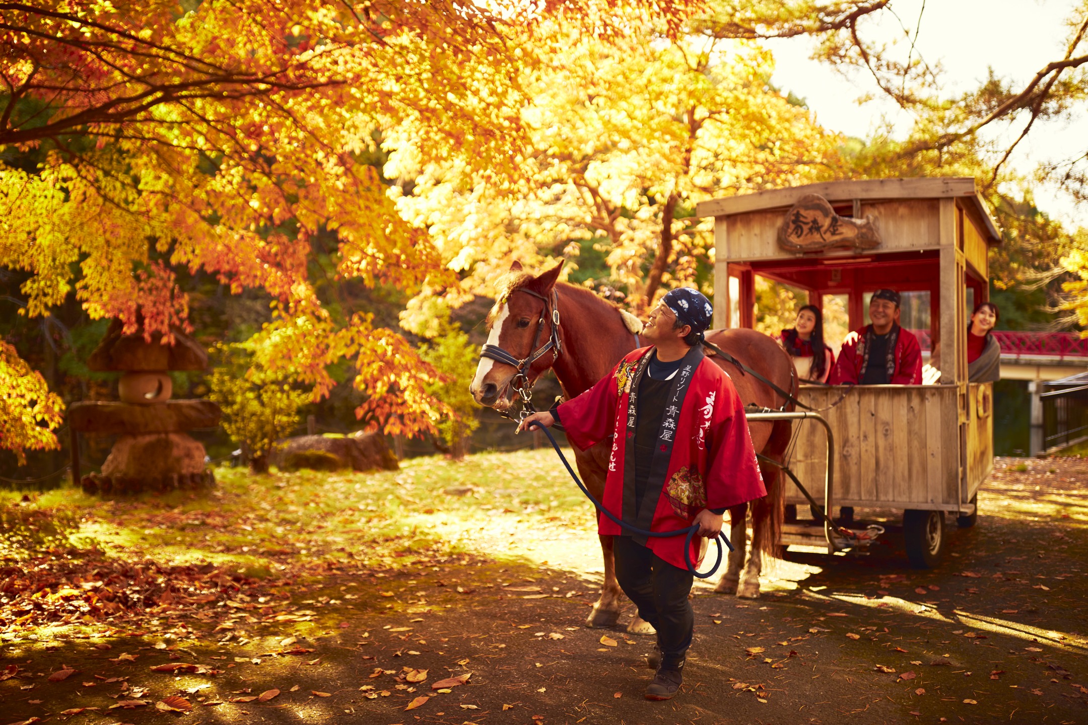青森屋　馬車で公園を巡りながらりんごの食べ比べ！「紅葉りんご馬車」運行　期間：2020年9月1日～11月30日