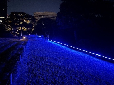 青く浮かび上がる園路(イメージ)