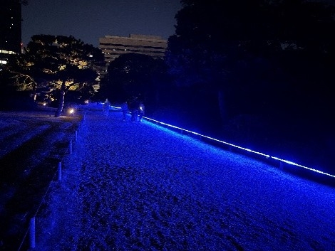 青く浮かび上がる園路(イメージ)