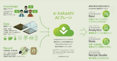 JICA・IDB Lab共催のオープンイノベーションプログラム 「TSUBASA2025」に採択決定