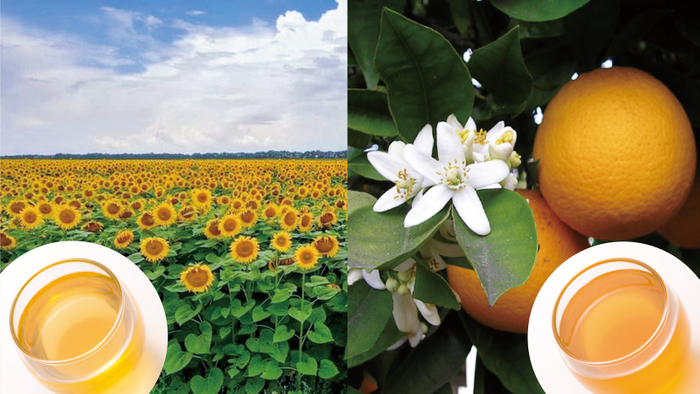左：ウクライナ産ひまわりはちみつ／右：メキシコ産オレンジはちみつ