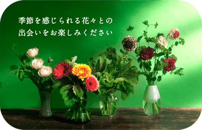 定期便イメージ