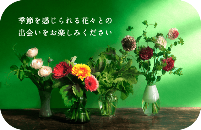 定期便イメージ