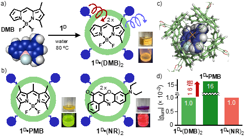 図3（a）らせん型カプセル1DによるDMBの内包とその溶液写真（上：室内光下,下：光照射下）　（b）キラル蛍光物性を示す内包体1D・PMBと1D・(NR)2とそれらの溶液写真　（c）1D・PMBの立体構造（内部空間周辺の拡大図）　（d）内包体におけるCPLバンドの強度比較