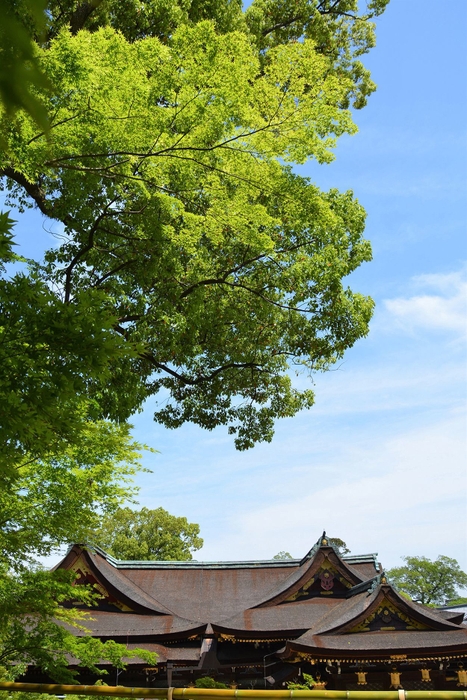 北野の天神さんと上七軒2018(北野天満宮)