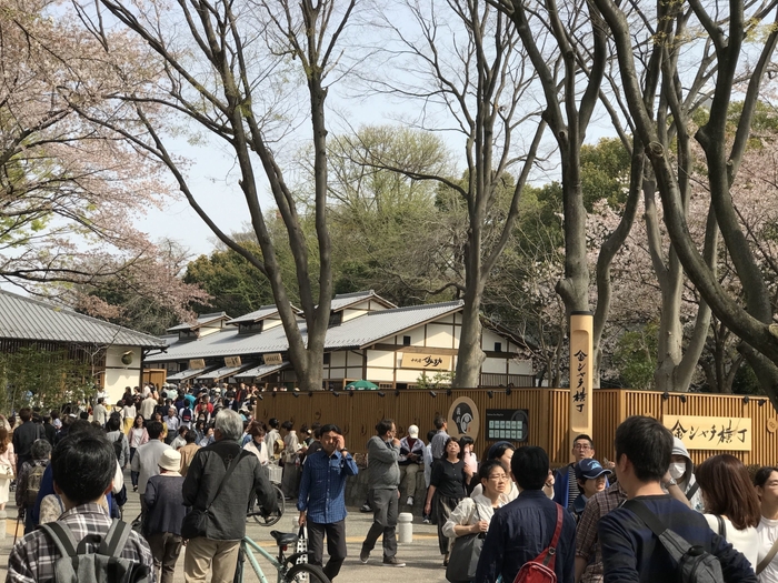 金シャチ横丁入口正面遠景