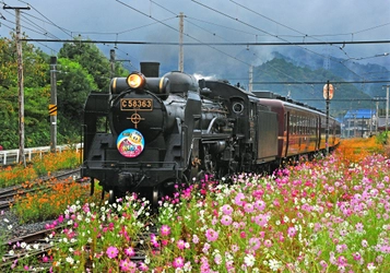 ガリガリ君×秩父鉄道　10回目のコラボ記念 「ガリガリ君が秩父鉄道に遊びにやってくる2023」 7月15日より開催！ SL運行、アイスバー型あたり付記念乗車券販売や スタンプラリーを実施