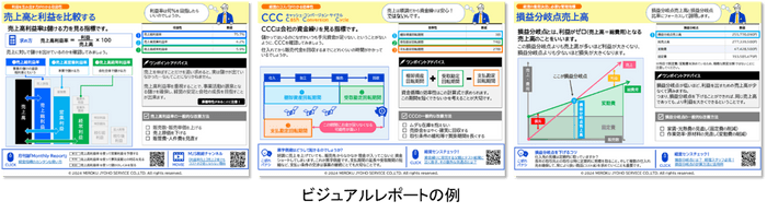 ビジュアルレポートの例