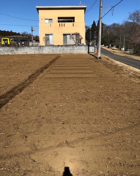 ムーミン谷農園