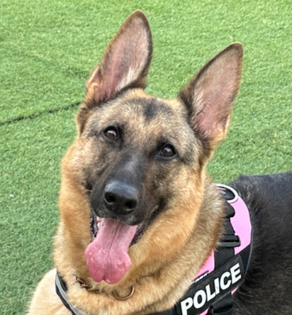 Grandirを導くDiana