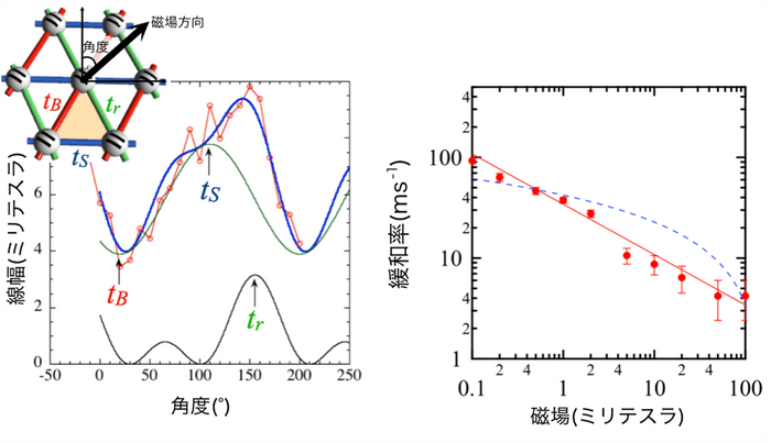 図1 β'-EtMe3Sb[Pd(dmit)2]2のESR線幅およびμSR緩和率の振る舞い