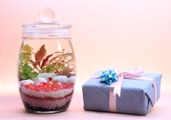 インテリアにも、ギフトにも!