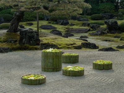 【作品】2026年春 島根県松江市 由志園