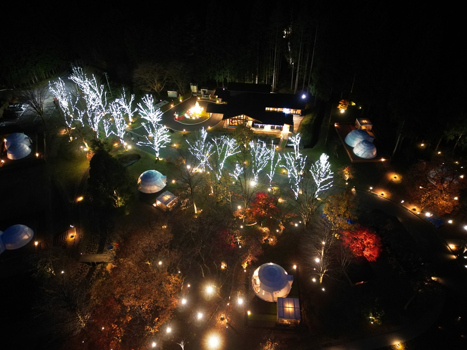 イルミネーションナイト2025鳥観図