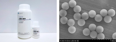 体外診断用ラテックス粒子世界市場レポート：主要企業、ランキング、成長予測2026-2032