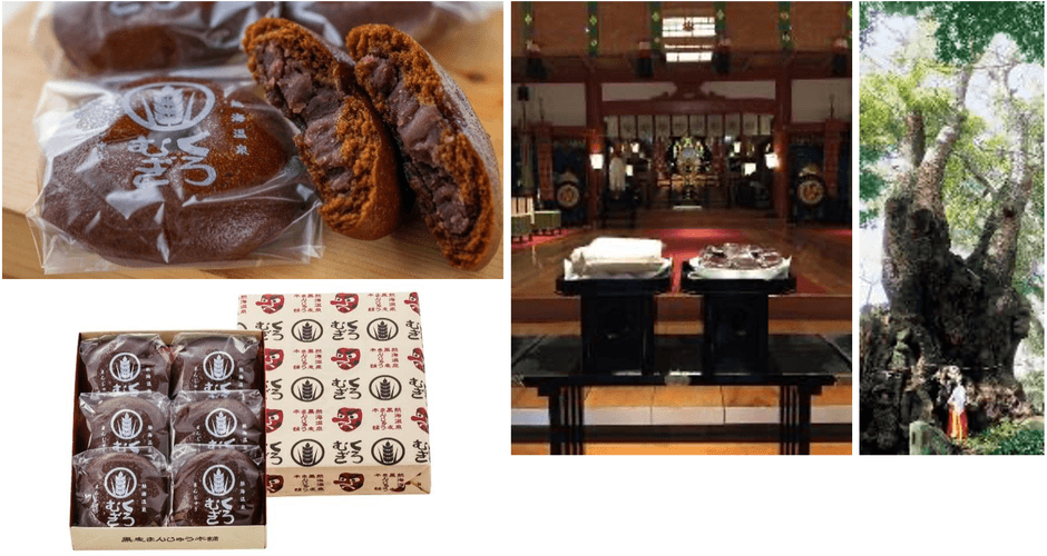 黒麦まんじゅう／来宮神社 樹齢2,000年を超える大楠