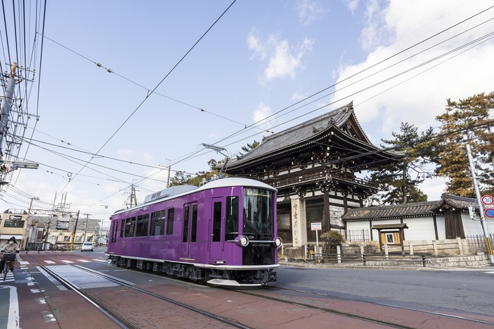 HNMZvG6BCrVD8q4TUiez