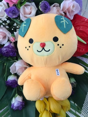 教科書に組み込まれた愛媛県のキャラクター 世界に羽ばたいた「みきゃん」