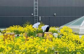 都市養蜂場リニューアルによる屋上体験環境の向上