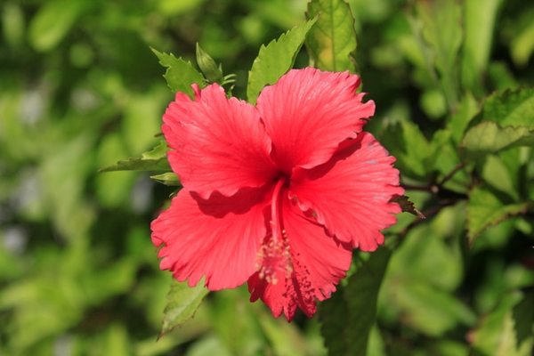 過去の写真でももちろんOK