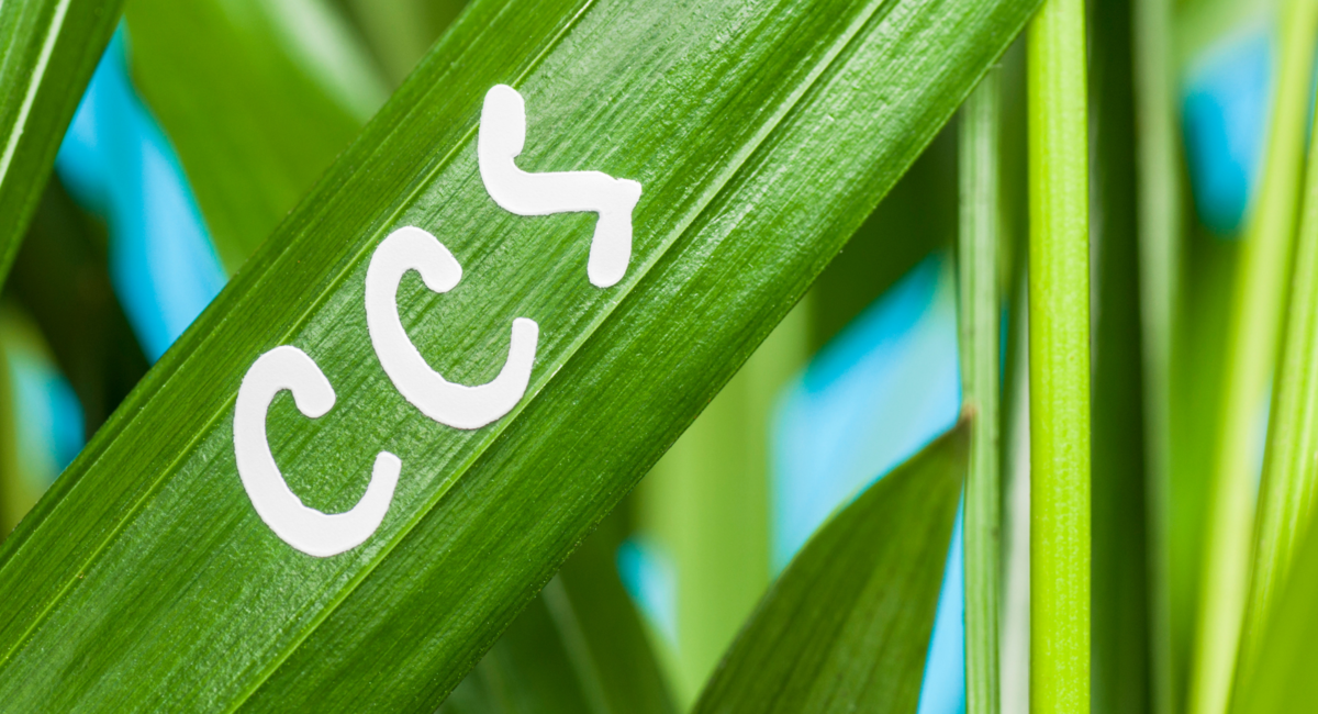 炭素回収・隔離（CCS）市場はCAGR 7.9%で成長すると予測される