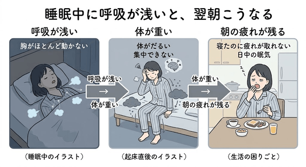 人生の1/3の睡眠中に呼吸が弱くなる──その構造が健康を害する入口だった・シリーズ初回