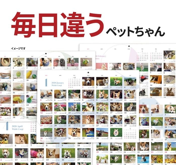 掲載内容