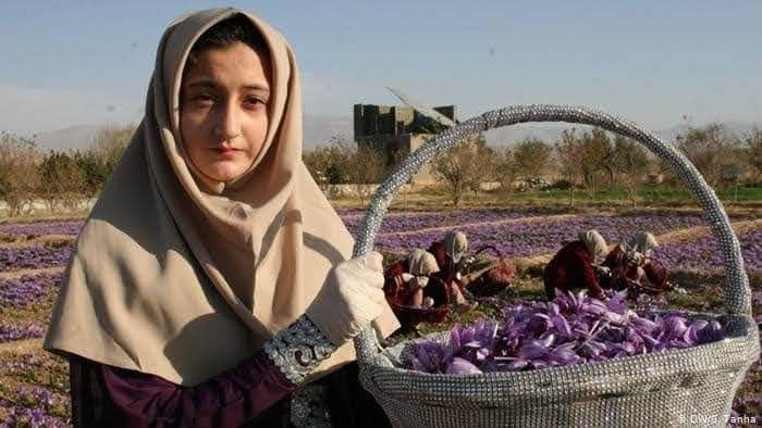 アフガニスタン現地からの写真