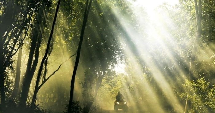 ワイルド・バギー1