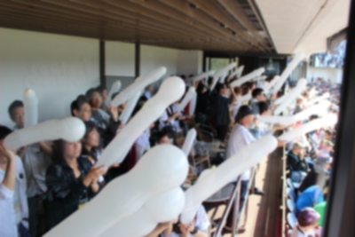 球場の熱気を味わえるオープンテラスで野球観戦と出逢いを楽しむ!