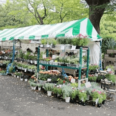 テント出展(昨年の様子)