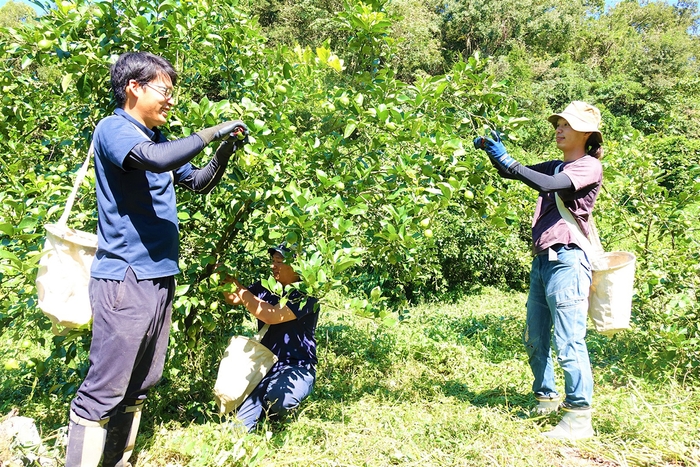 瀬戸内レモン農園