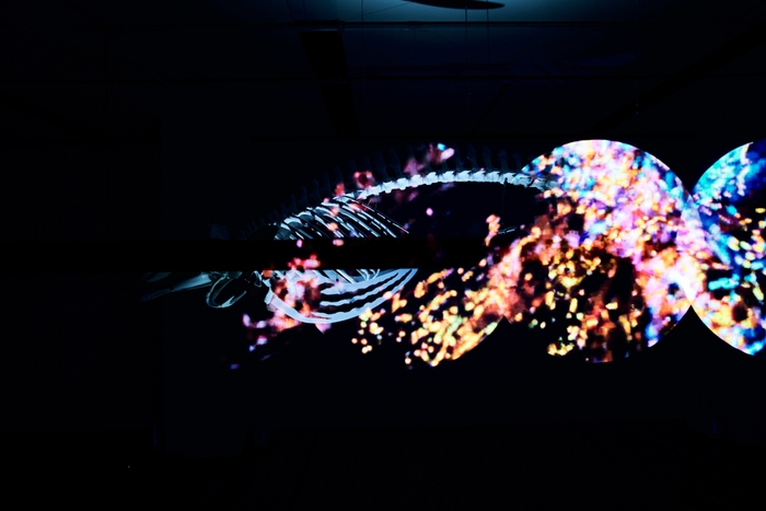 「生と死の環世界,質量ある自然と非質量の自然の間に」-1