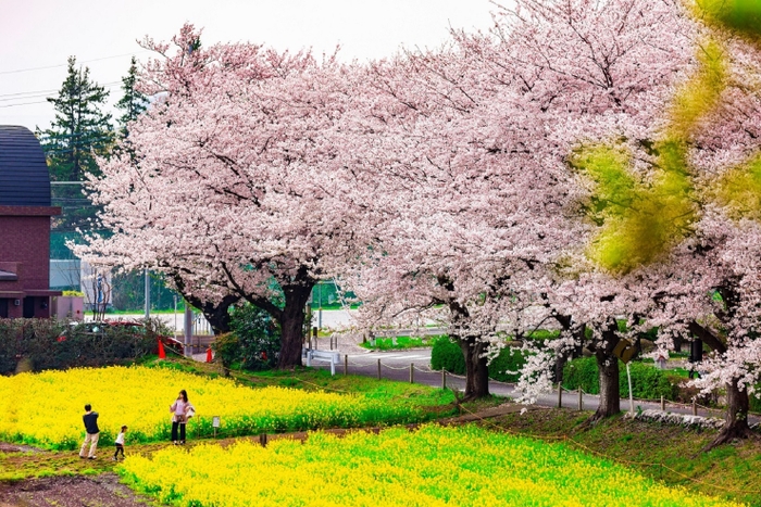 尾根緑道