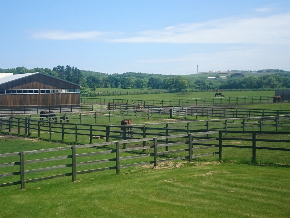 コスモヴューファーム