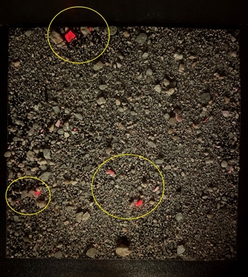 観察イメージ