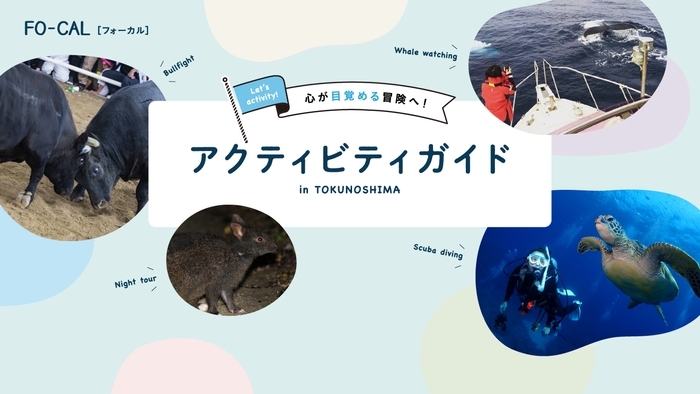 「旅色FO-CAL」徳之島町特集:アクティビティガイド