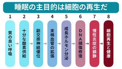 人はなぜ眠るのか──睡眠専門家が知らない"本当の目的"