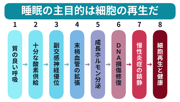 人はなぜ眠るのか──睡眠専門家が知らない"本当の目的"