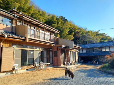 民泊「はこや」と秋田犬「こはく」