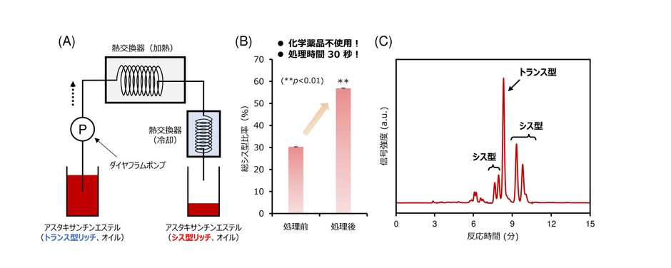 図２：（A）加熱式フローリアクターの概略図と（B）異性化処理前後の総シス型比率、（C）異性化処理後のクロマトグラム
