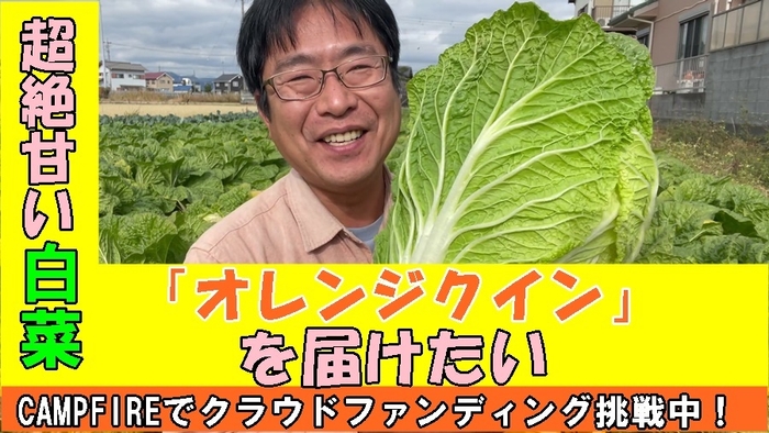 この白菜を届けたい!